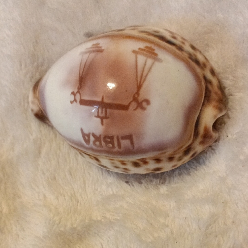 Libra Sea Shell